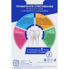 Комплекс для интенсивного отбеливания зубов Global White, гель 15 мл, зубная паста 30 мл - фото 7565180