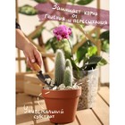 Пеностекло «Рецепты дедушки Никиты» 1 л фр 5-30 - Фото 4