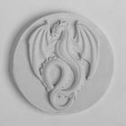 Молд силикон "Дракон" 5,2х6,8 см, вес изд 3.2гр. МИКС - Фото 3