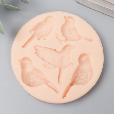 Силиконовый молд, форма для заливки «Птицы», 1.5×3.5 см-1.5×4.5 см, МИКС