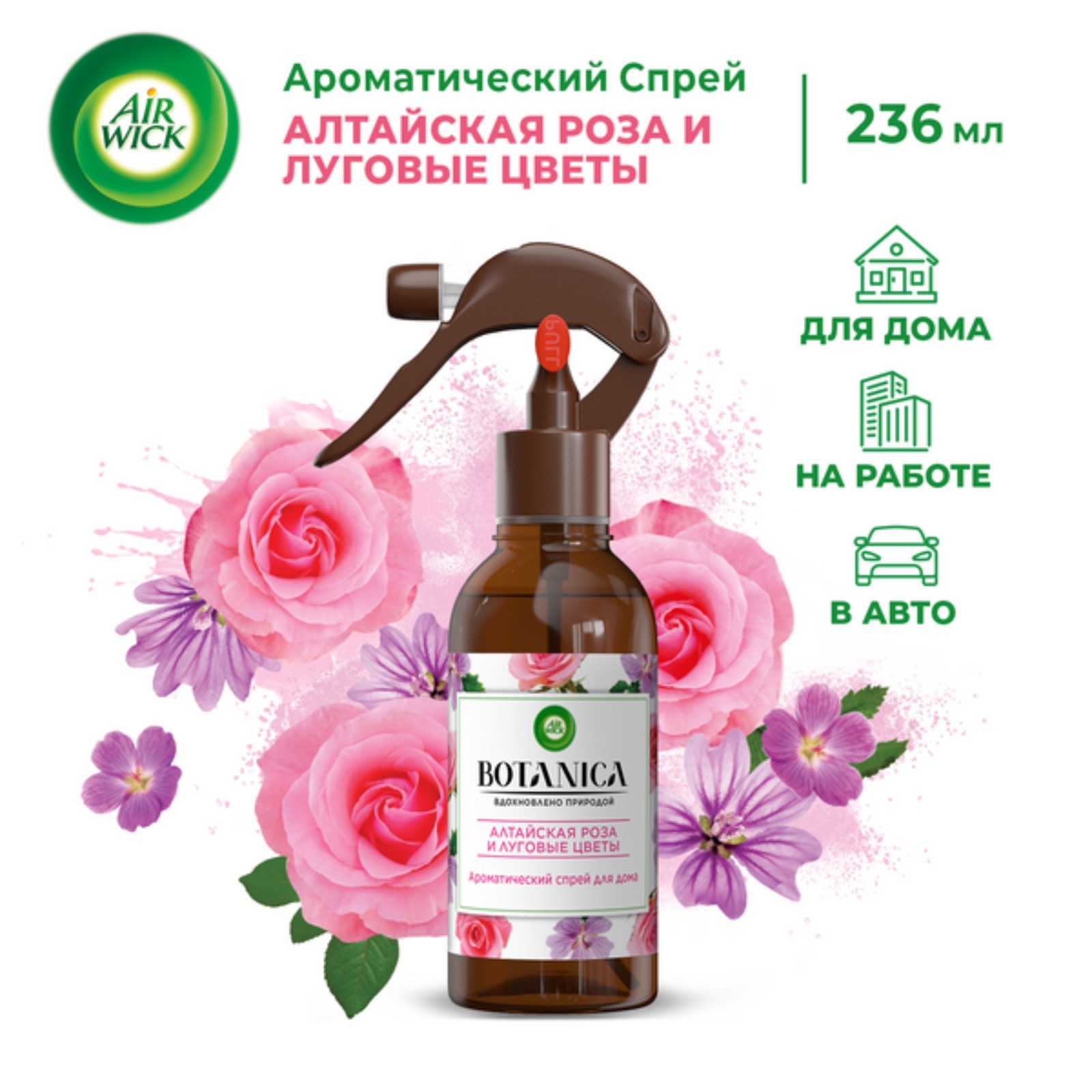 Ароматический спрей для дома Airwick Botanica «Алтайская роза и луговые  цветы», 236 мл (7152539) - Купить по цене от 331.00 руб. | Интернет магазин  SIMA-LAND.RU