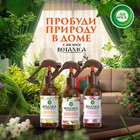 Ароматический спрей для дома Airwick Botanica «Свежий ананас и тунисский розмарин» 236 мл - Фото 2
