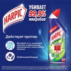 Средство дезинфицирующее для туалета Harpic Power Plus "Лесная свежесть", 700 мл - Фото 3