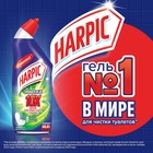 Средство дезинфицирующее для туалета Harpic Power Plus "Лесная свежесть", 700 мл - Фото 4