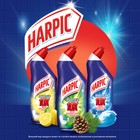 Средство дезинфицирующее для туалета Harpic Power Plus "Лесная свежесть", 700 мл - Фото 5
