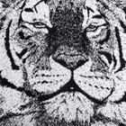 Полотенце махровое Этель «Тигр» 70х130см, 100% хлопок, 420гр/м2 - Фото 3