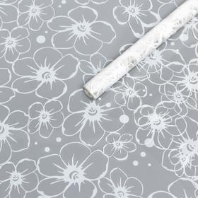 Пленка прозрачная 