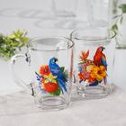 Кружка стеклянная «Тропические птицы», 300 мл 7127147 Кружка стеклянная «Тропические птицы», 300 мл 7127147