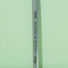 Кисть для макияжа, скошенная «Самой прекрасной», 16 см - фото 57947555