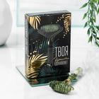 Массажёр роллер для лица с шипами «Твоя красота вдохновляет», кальцит и серпен 6435943 - фото 16348607