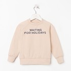 Толстовка детская KAFTAN Holidays, размер 30 (98-104 см) - фото 49528840