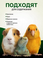 Стружка осиновая «Зверьё мое», 600 г - Фото 2