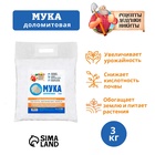 Доломитовая мука "Рецепты Дедушки Никиты" 3 кг 4698962 - фото 5144084
