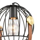 Настольная лампа Pasquale, 1x60Вт E27  , цвет чёрный, золото - Фото 3