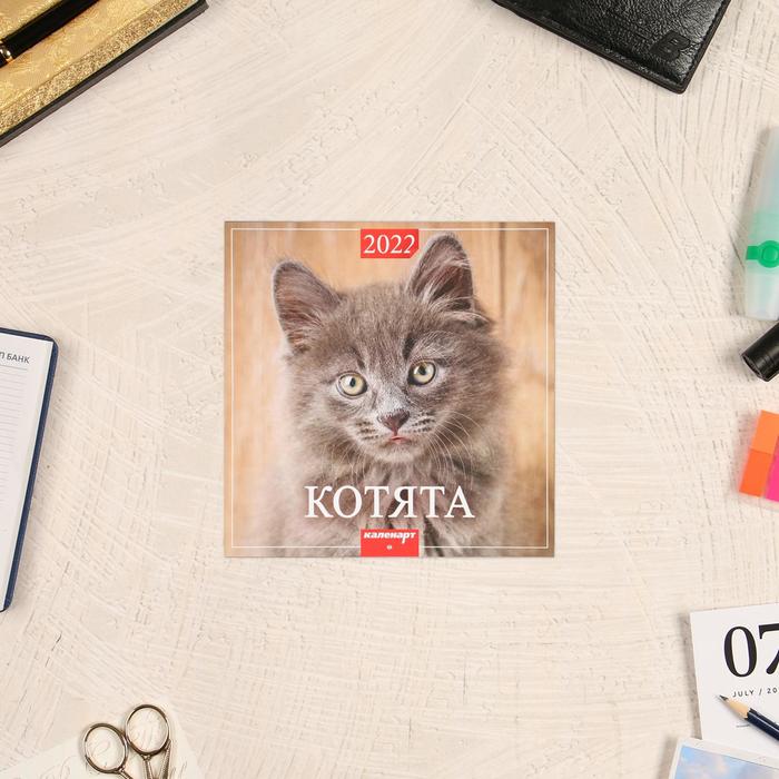 Календарь перекидной на скрепке "Котята" 2022 год, 285х285 мм - Фото 1