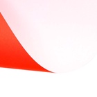 Бумага цветная А4, 8 листов 8 цветов «Луч» Рысь, блок 70 г/м² - фото 119708562