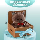 Мягкая игрушка «Именинник Marti», котик, 25 см - Фото 2