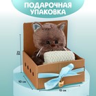 Мягкая игрушка «Сонный Marti», котик, 25 см - Фото 2