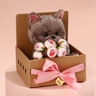 Мягкая игрушка «Прекрасная Marta», кошечка, 25 см - фото 23306621