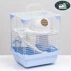 Клетка для грызунов укомплектованная, 23×19×28 см, голубая - Фото 1