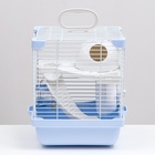 Клетка для грызунов укомплектованная, 23×19×28 см, голубая - Фото 4