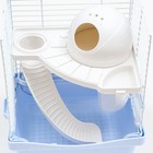 Клетка для грызунов укомплектованная, 23×19×28 см, голубая - Фото 5