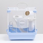 Клетка для грызунов укомплектованная, 27×19×28 см, голубая - Фото 2