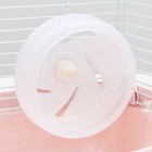 Клетка для грызунов укомплектованная, 27 х 19 х 28 см, розовая - Фото 7