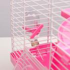 Клетка для грызунов укомплектованная, 27 х 19 х 28 см, розовая - Фото 8