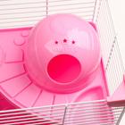 Клетка для грызунов укомплектованная, 27 х 19 х 28 см, розовая - Фото 10