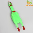 Игрушка пищащая "Задумчивая курица" для собак, 28 см, ярко-зелёная 6244391 - фото 8511270