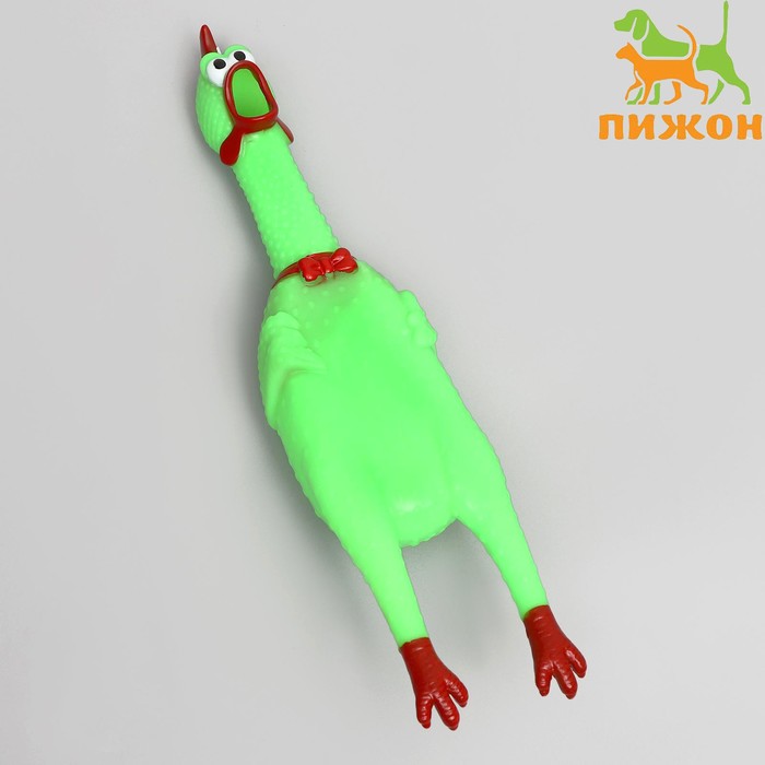 Игрушка пищащая "Задумчивая курица" для собак, 28 см, ярко-зелёная - Фото 1