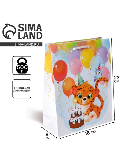 Пакет подарочный ламинированный, упаковка, «С Днём рождения», MS 18×23×8 см