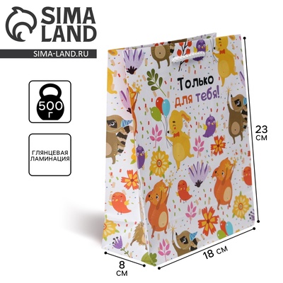 Пакет подарочный ламинированный, упаковка, «Только для тебя », MS 18×23×8 см