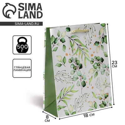 Пакет подарочный ламинированный, упаковка, Present for you, MS 18×23×8 см