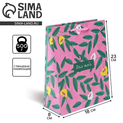 Пакет подарочный ламинированный, упаковка, For you, MS 18×23×8 см