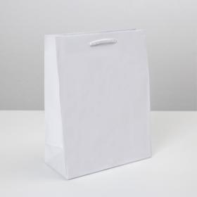 Пакет подарочный ламинированный, упаковка, «Белый», MS 18 х 23 х 8 см
