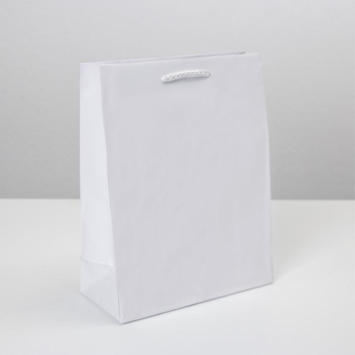Пакет подарочный ламинированный, упаковка, «Белый», MS 18 х 23 х 8 см - Фото 1