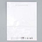 Пакет подарочный ламинированный, упаковка, «Белый», MS 18 х 23 х 8 см - Фото 6