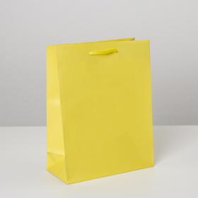Пакет подарочный ламинированный, упаковка, «Жёлтый», MS 18 х 23 х 8 см