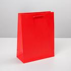 Пакет подарочный ламинированный, упаковка, «Красный», MS 18 х 23 х 8 см - фото 318576997