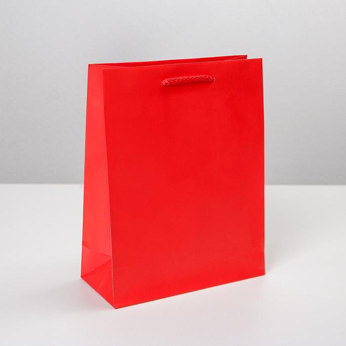 Пакет подарочный ламинированный, упаковка, «Красный», MS 18 х 23 х 8 см - Фото 1