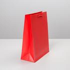 Пакет подарочный ламинированный, упаковка, «Красный», MS 18 х 23 х 8 см - Фото 2