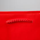 Пакет подарочный ламинированный, упаковка, «Красный», MS 18 х 23 х 8 см - Фото 3