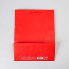 Пакет подарочный ламинированный, упаковка, «Красный», MS 18 х 23 х 8 см - Фото 4