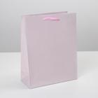 Пакет подарочный ламинированный, упаковка, «Розовый», MS 18 х 23 х 8 см - фото 318577001