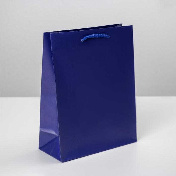 Пакет подарочный ламинированный, упаковка, «Синий», MS 18 х 23 х 8 см