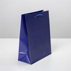 Пакет подарочный ламинированный, упаковка, «Синий», MS 18 х 23 х 8 см - Фото 2