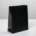 Пакет подарочный ламинированный, упаковка, «Чёрный», MS 18 х 23 х 8 см - фото 320427787