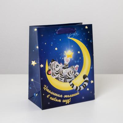 Пакет ламинированный «На луне», MS 18 х 23 х 10 см